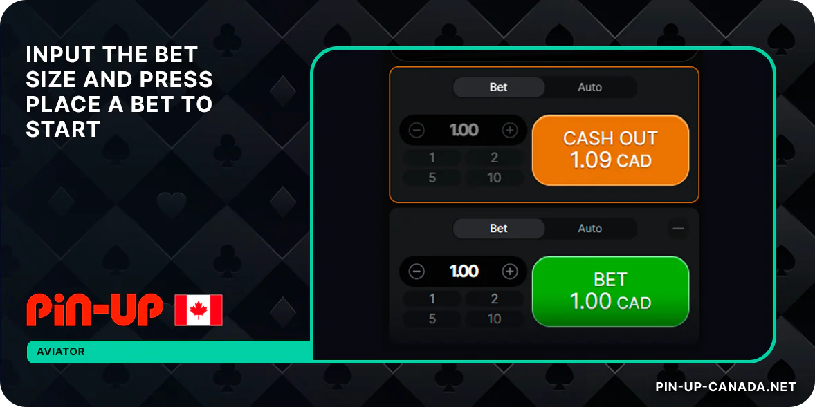 Input the Bet Size, wait until the game starts, hurry up to cash out before the plane crashes