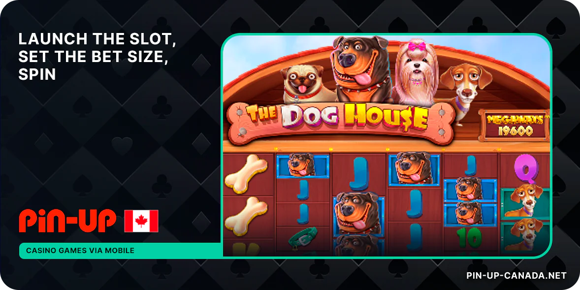 Start the slot, set the bet size, spin the wheel - Pin Up Mobile Casino