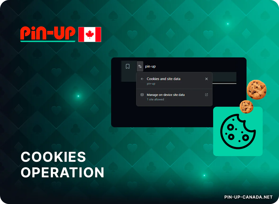 Pin Up Canada Website Uses Cookies