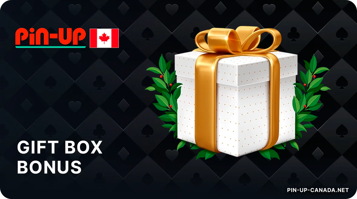 Get a Gift Box for every 100 Canadian dollars spent at Pin Up