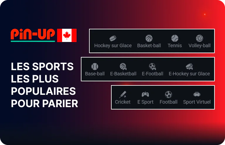 Pin Up Sports populaires pour les paris